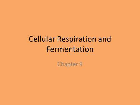 Cellular Respiration and Fermentation Chapter 9. Where do organisms get their energy? For all organisms, food molecules contain chemical energy that is.