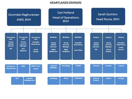 HEARTLANDS DIVISION Carl Holland Govindan Raghuraman Sarah Quinton