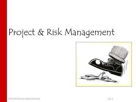 Project & Risk Management