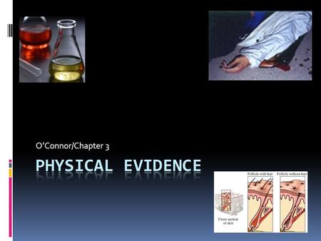 O’Connor/Chapter 3. Common types of physical evidence  Blood, semen, & saliva  Documents  Drugs  Explosives  Fibers  Fingerprints  Firearms & ammunition.