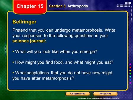 Copyright © by Holt, Rinehart and Winston. All rights reserved. ResourcesChapter menu Bellringer Pretend that you can undergo metamorphosis. Write your.