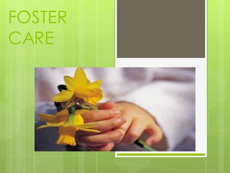 FOSTER CARE. Who are the children?  The Child and Family Services Division (CFSD) of the state Department of Public Health and Human Services place children.