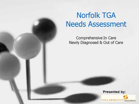 Norfolk TGA Needs Assessment Comprehensive In Care Newly Diagnosed & Out of Care Presented by: