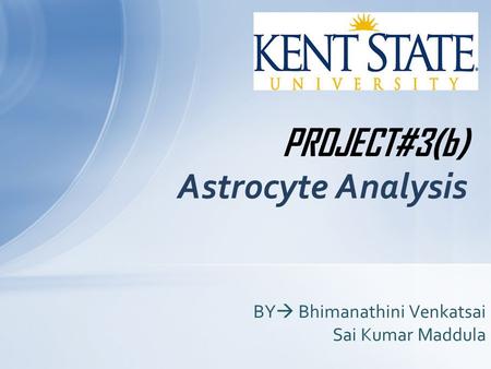 PROJECT#3(b) Astrocyte Analysis