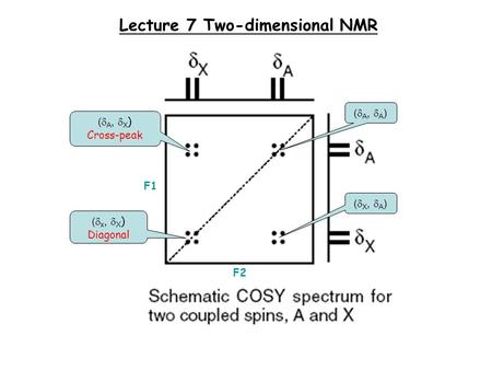 Lecture 7 Two-dimensional NMR F2 F1 (  x,  X ) Diagonal (  A,  A ) (  A,  X ) Cross-peak (  X,  A )