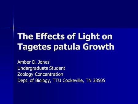 The Effects of Light on Tagetes patula Growth Amber D. Jones Undergraduate Student Zoology Concentration Dept. of Biology, TTU Cookeville, TN 38505.