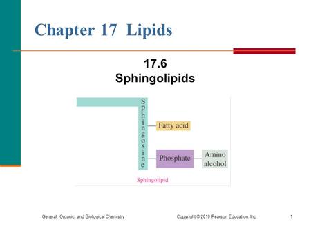 Chapter 17 Lipids 17.6 Sphingolipids.