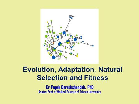 Evolution, Adaptation, Natural Selection and Fitness Dr Pupak Derakhshandeh, PhD Assiss. Prof. of Medical Science of Tehran University.