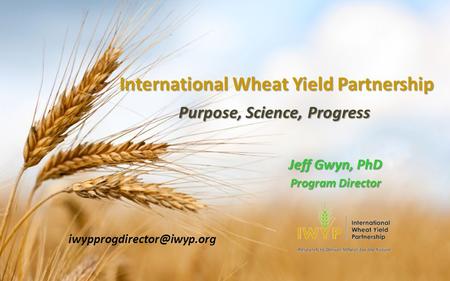 International Wheat Yield Partnership