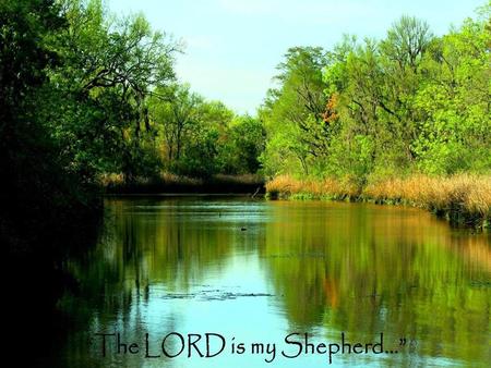 Hebrews 12:2-3 “Let us fix our eyes on Jesus, the author and perfecter of our faith, who, for the joy set before Him endured the cross, scorning its.