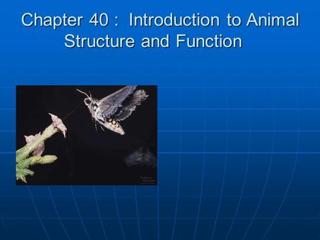 Chapter 40 : Introduction to Animal Structure and Function.