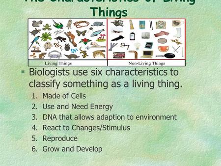 The Characteristics of Living Things