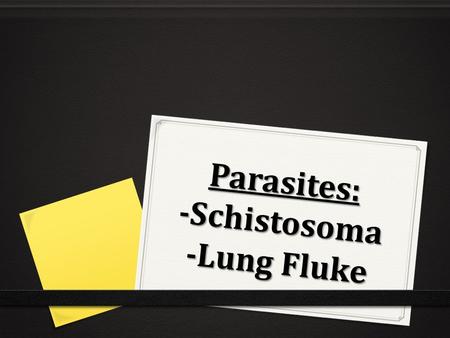 Parasites: -Schistosoma -Lung Fluke. Schistosoma 0 There are 3 species of Schistosoma that are important to humans 0 S. mansoni 0 S. japonicum 0 S. haematobium.