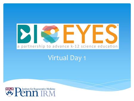 Virtual Day 1. Hello scientists, Welcome to BioEYES! We are bringing you an exciting experiment. For the next week your goal will be to learn all you.