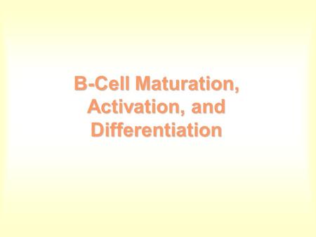 B-Cell Maturation, Activation, and Differentiation.