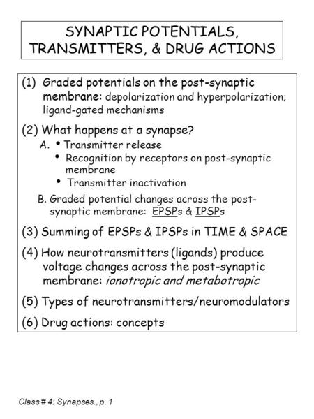 (1)Graded potentials on the post-synaptic membrane: depolarization and hyperpolarization; ligand-gated mechanisms (2) What happens at a synapse? A.  Transmitter.