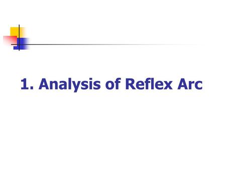 1. Analysis of Reflex Arc. The neural pathway involved in accomplishing reflex activity is known as a reflex arc, which typically includes the five following.