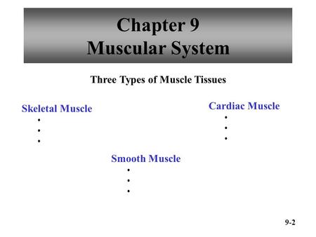 Chapter 9 Muscular System