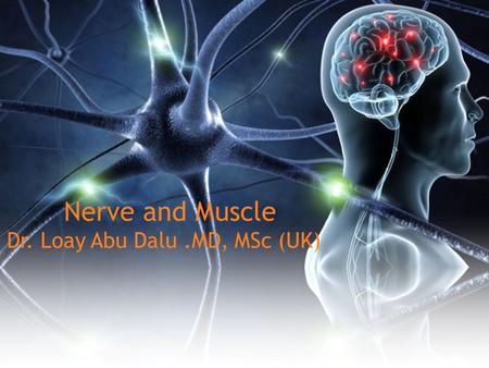 Nerve and Muscle Dr. Loay Abu Dalu.MD, MSc (UK). Key points Action potentialSimple Muscle TwitchSummationTetanizationEffect of temperature on S.M.TMuscle.