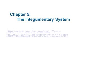 Chapter 5: The Integumentary System