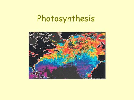 Photosynthesis. Light energy PHOTOSYNTHESIS 6 CO 2 6+ H2OH2O Carbon dioxideWater C 6 H 12 O 6 6+ O2O2 GlucoseOxygen gas Photosynthesis.