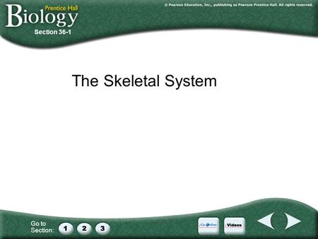 Section 36-1 The Skeletal System.