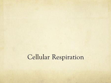 Cellular Respiration. Syllabus Objectives State that respiration takes place at the level of the cell Describe the process of aerobic respiration State.