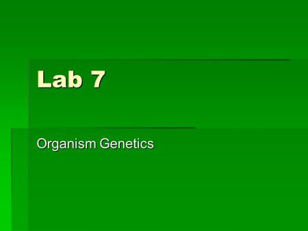 Lab 7 Organism Genetics. Lab 7: Genetics of Organisms Overview  In this laboratory students will use living organisms to do genetic crosses. They will.