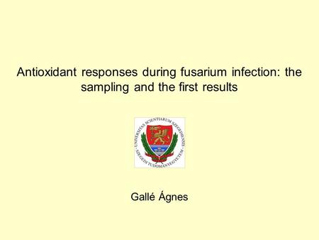 Antioxidant responses during fusarium infection: the sampling and the first results Gallé Ágnes.