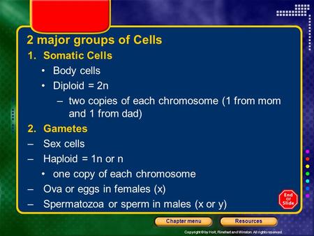 Copyright © by Holt, Rinehart and Winston. All rights reserved. ResourcesChapter menu 2 major groups of Cells 1.Somatic Cells Body cells Diploid = 2n –two.