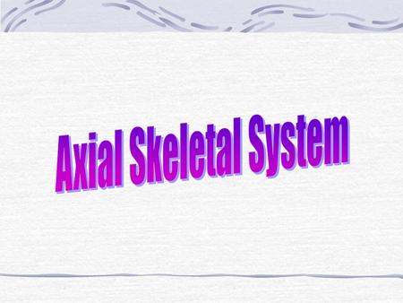 Skeleton Divided into sections Axial Appendicular Made of 206 bones.