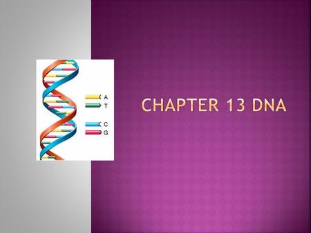  Stores information needed for traits and cell processes  Copying information needed for new cells  Transferring information from generation to generation.