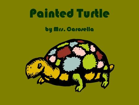 Painted Turtle by Mrs. Carosella. Painted turtle Everyone smiles when they see a painted turtle. In this report, you will find out where painted turtles.