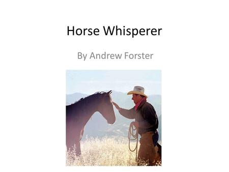 Horse Whisperer By Andrew Forster. What is a horse whisperer? When do you think they were most needed?