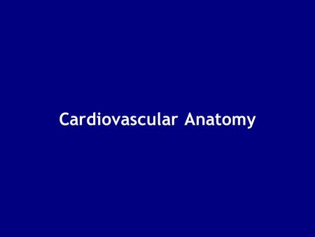 Cardiovascular Anatomy. Objectives: 1. Describe the anatomy of the heart 2. Describe the anatomy of the vasculature 3. Describe the pathway of blood during.