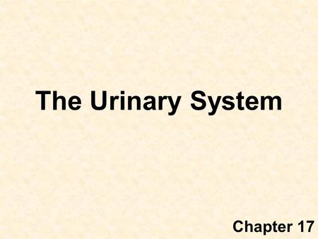 The Urinary System Chapter 17. Introduction The urinary system consists of –two kidneys that filter the blood, –two ureters, –a urinary bladder, and –a.