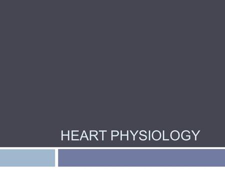 HEART PHYSIOLOGY. What a Job!  It pushes your six liters of blood through your blood vessels over 1000 times a day!  Thousands of cells function as.