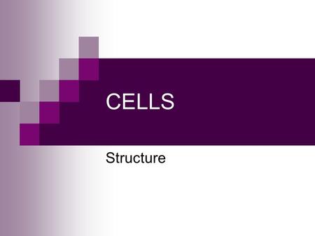 CELLS Structure. Cell Membrane Surrounds the cell to separate it from its external environment Composed of a phospholipid bilayer that has proteins embedded.