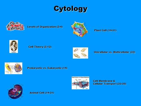 Cytology Levels of Organization (2-4) Cell Theory (5-12) Prokaryotic vs. Eukaryotic (14) Animal Cell (14-31) Plant Cell (14-31) Unicellular vs. Multicellular.