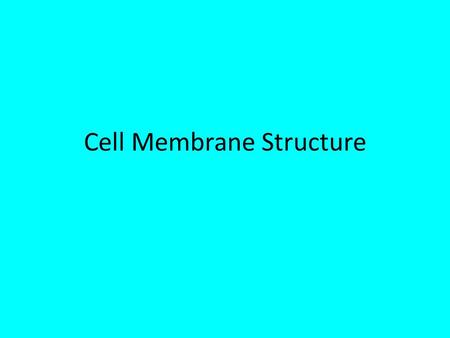 Cell Membrane Structure