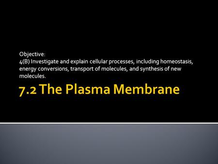 Objective: 4(B) Investigate and explain cellular processes, including homeostasis, energy conversions, transport of molecules, and synthesis of new molecules.