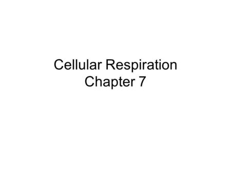 Cellular Respiration Chapter 7. An overview of cellular respiration Figure 6.8 High-energy electrons carried by NADH GLYCOLYSIS GlucosePyruvic acid KREBS.