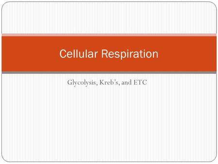 Glycolysis, Kreb’s, and ETC