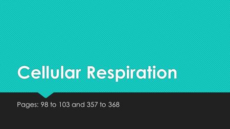 Cellular Respiration Pages: 98 to 103 and 357 to 368.