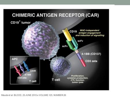 Maude et al. BLOOD, 25 JUNE 2015 x VOLUME 125, NUMBER 26