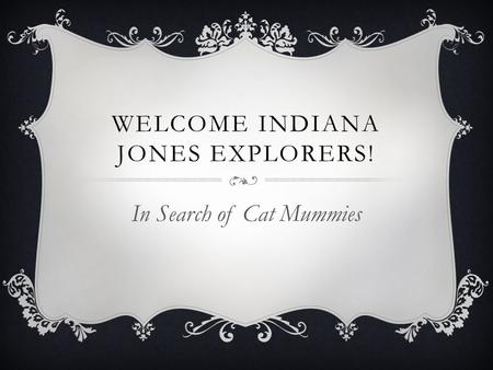 WELCOME INDIANA JONES EXPLORERS! In Search of Cat Mummies.