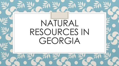 NATURAL RESOURCES IN GEORGIA. Georgia ◦ Largest State East of the Mississippi. ◦ 37 Million Acres ◦ Home to 975 Vertebrate Species, 63 of which are found.