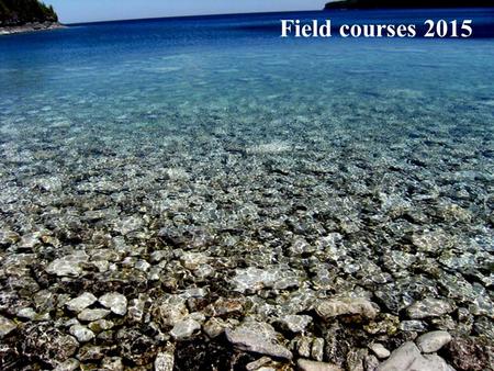 Field courses 2015. Why take a field course? Structure of many field courses 2 weeks of intensive study (0.5 credits) →1st week devoted to instruction,