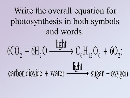 What is the difference between an autotroph and a heterotroph