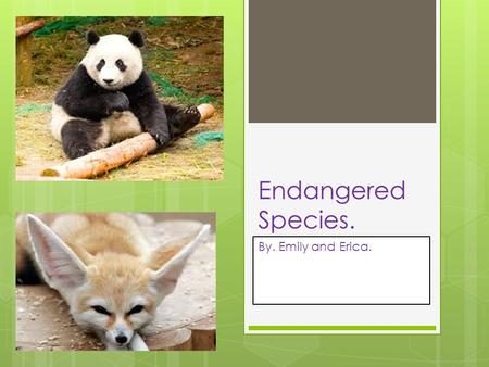 Endangered Species. By. Emily and Erica..